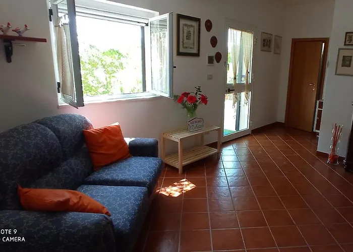 Il Corbezzolo
