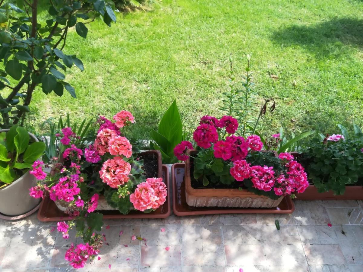 Holiday home Il Corbezzolo
