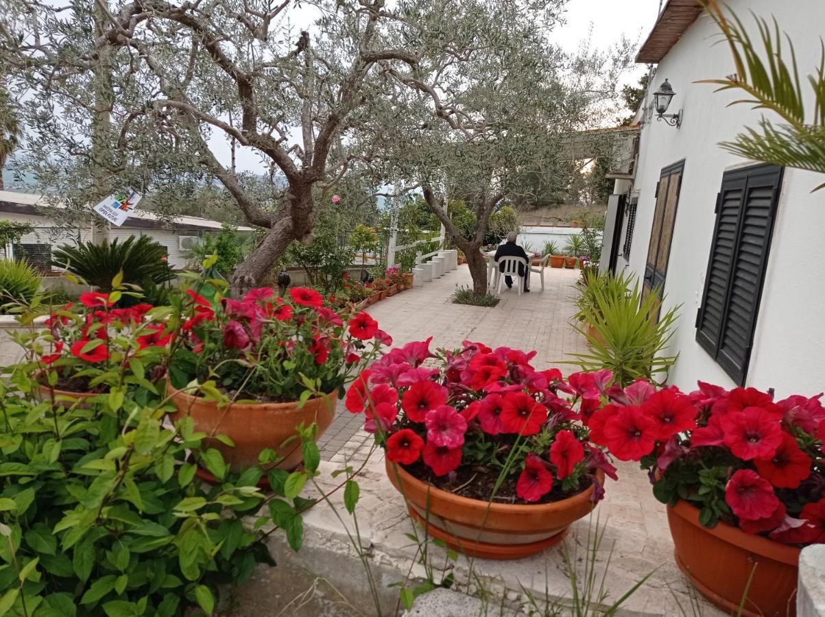 Holiday home Il Corbezzolo Matera