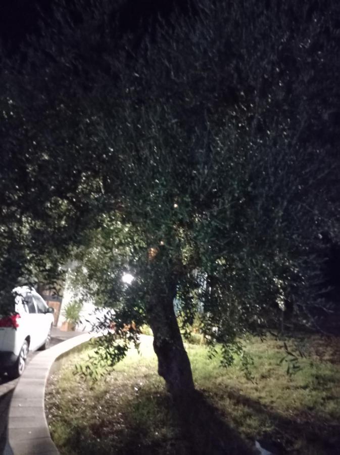 Il Corbezzolo Holiday home *