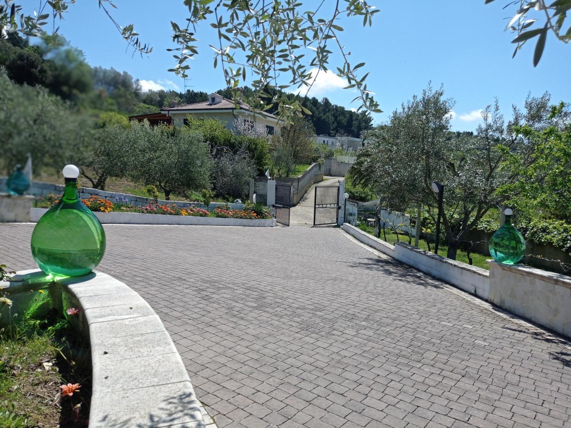 Il Corbezzolo
