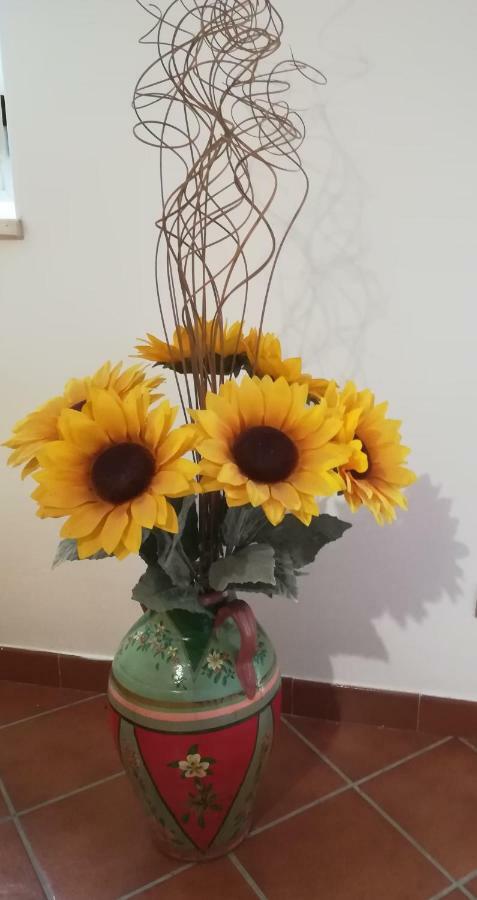 Il Corbezzolo Holiday home Matera