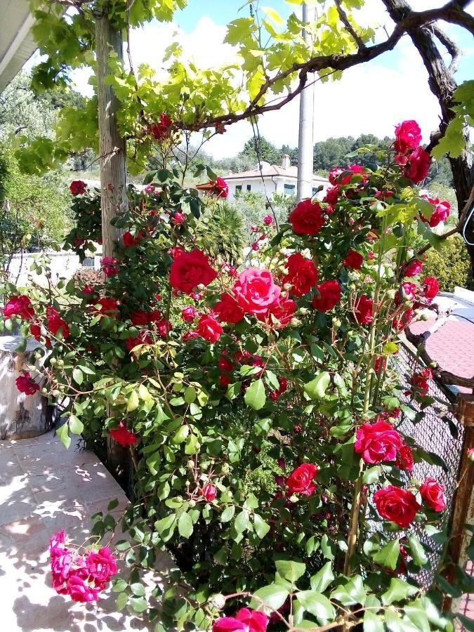 Holiday home Il Corbezzolo *