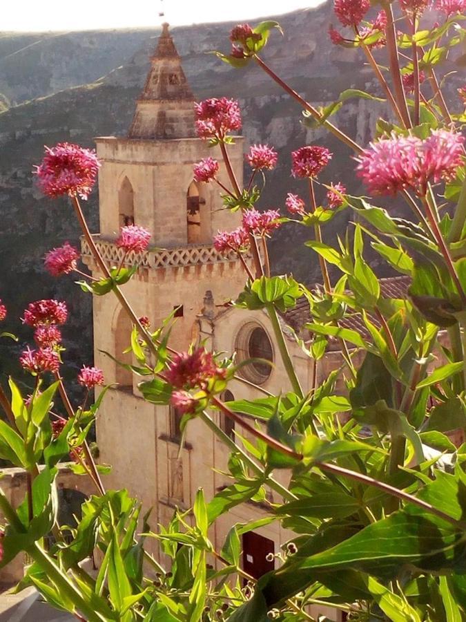 Il Corbezzolo Matera